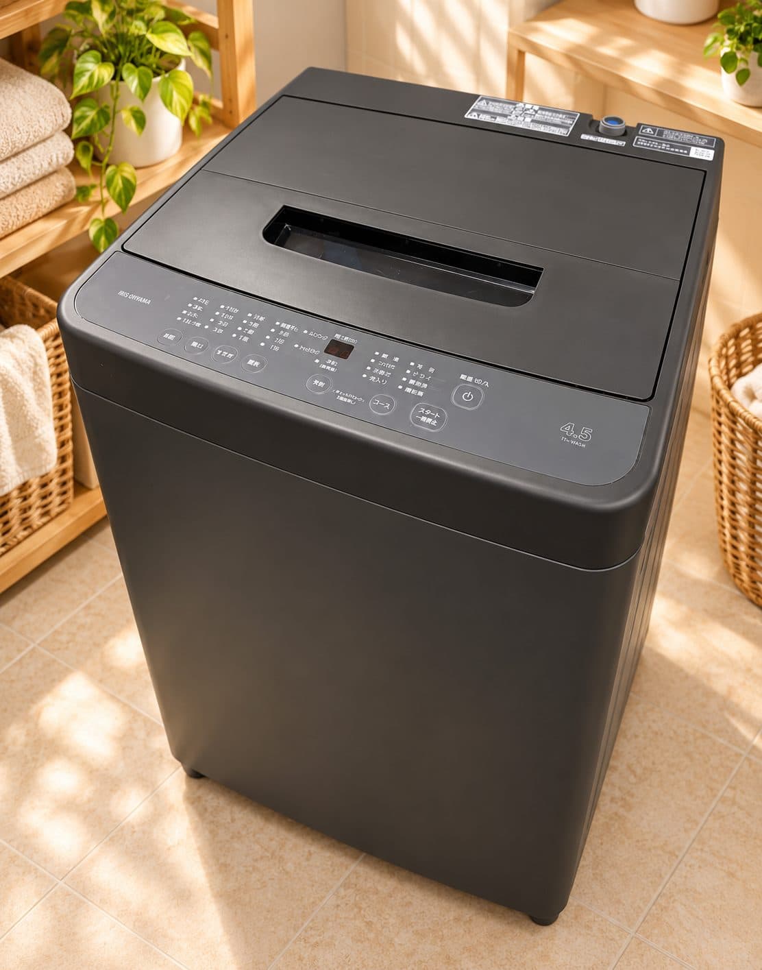 IRIS OHYAMA Washing Machine 4.5 KG – Black